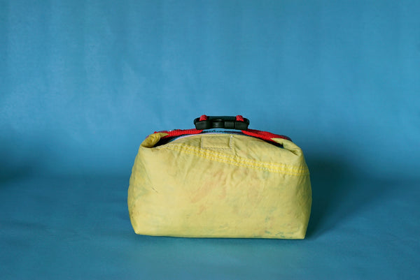 mini crossbody 0001