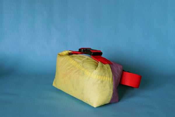 mini crossbody 0001