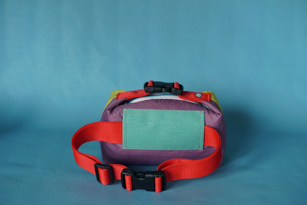 mini crossbody 0001
