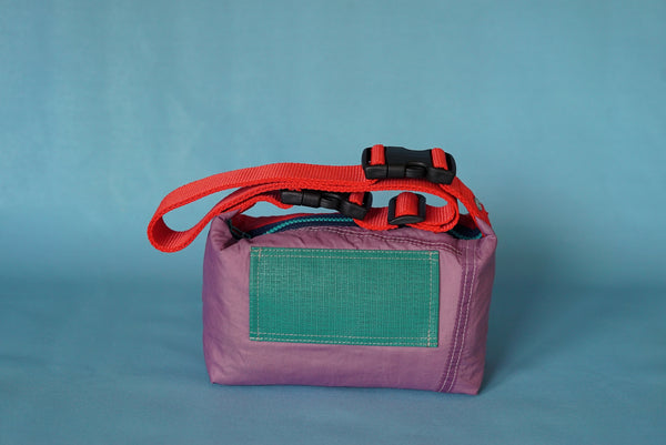 mini crossbody 0002