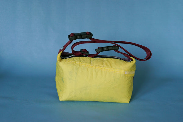 mini crossbody 0003