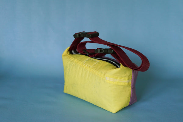 mini crossbody 0003