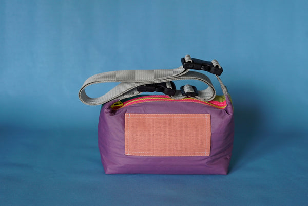 mini crossbody 0004