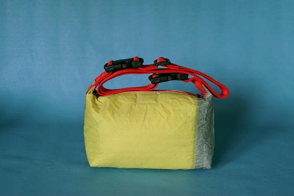 mini crossbody 0005
