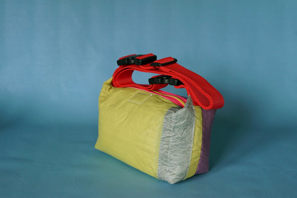 mini crossbody 0005