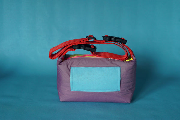 mini crossbody 0005