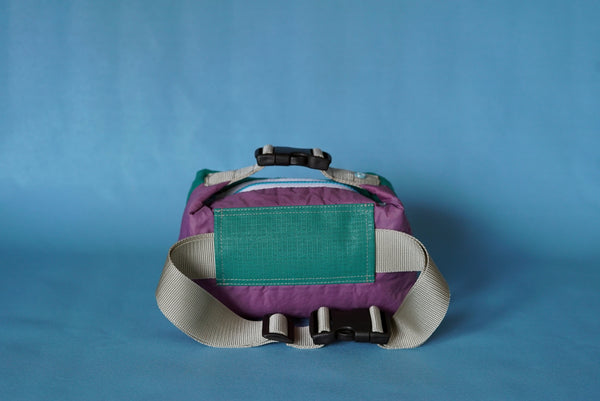 mini crossbody 0006