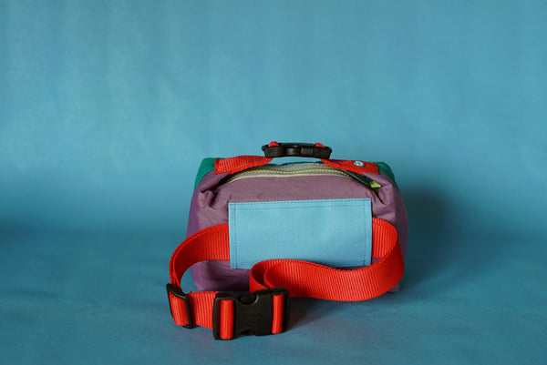 mini crossbody 0008
