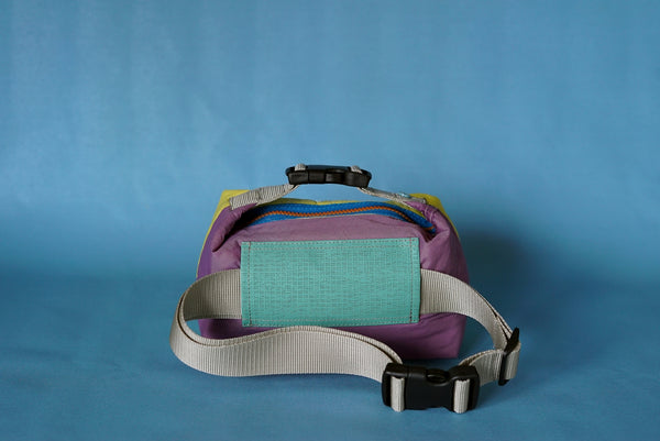 mini crossbody 0009