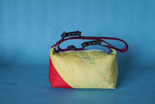 mini crossbody 0010