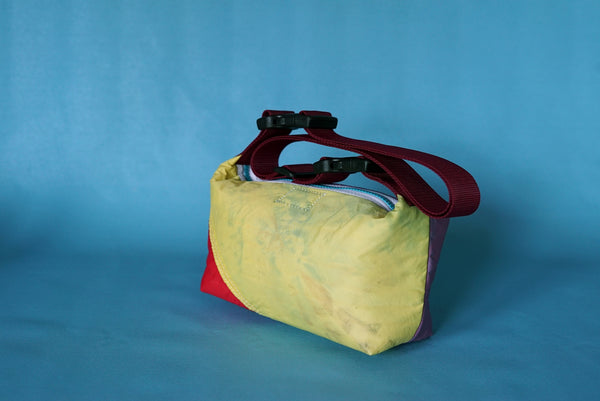 mini crossbody 0010