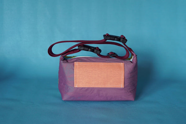 mini crossbody 0010