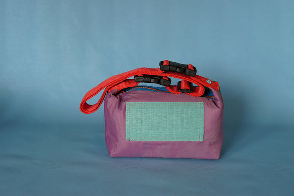 mini crossbody 0014