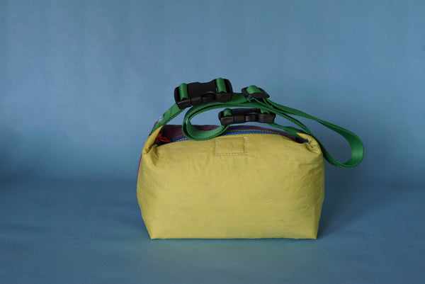 mini crossbody 0015