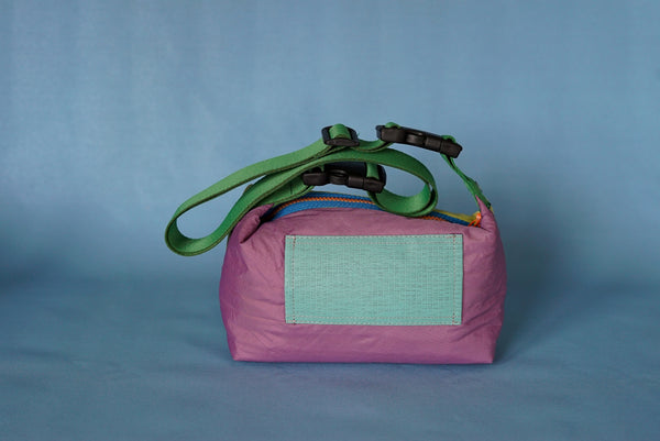 mini crossbody 0015