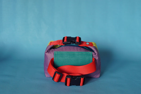 mini crossbody 0019
