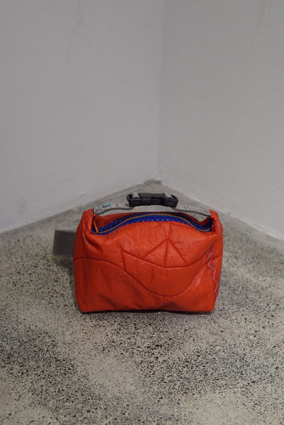 mini crossbody 0013