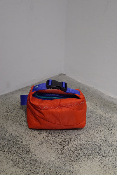 mini crossbody 0021