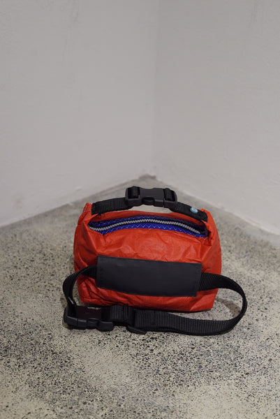 mini crossbody 0031