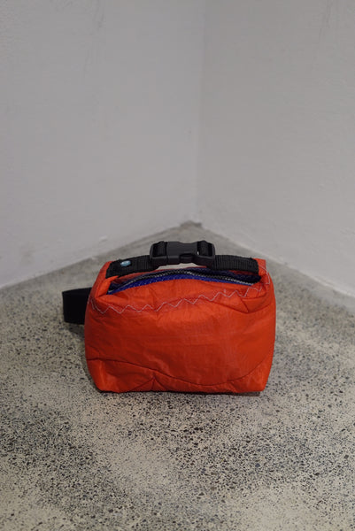 mini crossbody 0031