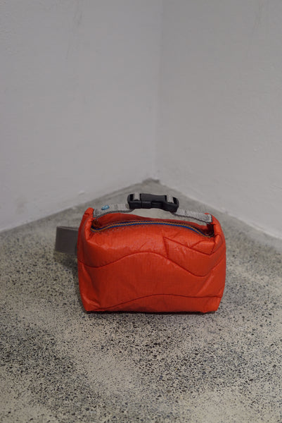 mini crossbody 0032