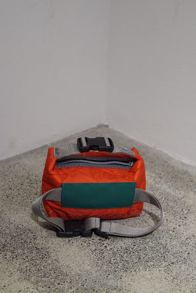 mini crossbody 0047