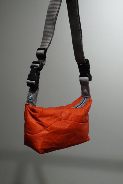 mini crossbody 0047