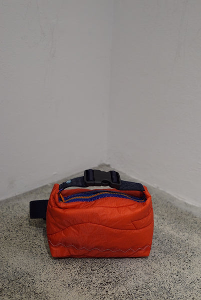 mini crossbody 0050
