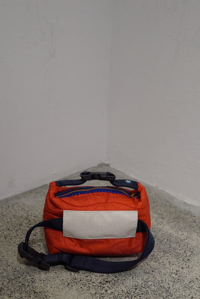mini crossbody 0050