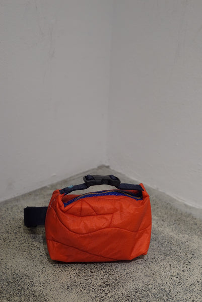 mini crossbody 0054