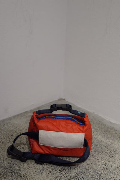 mini crossbody 0054