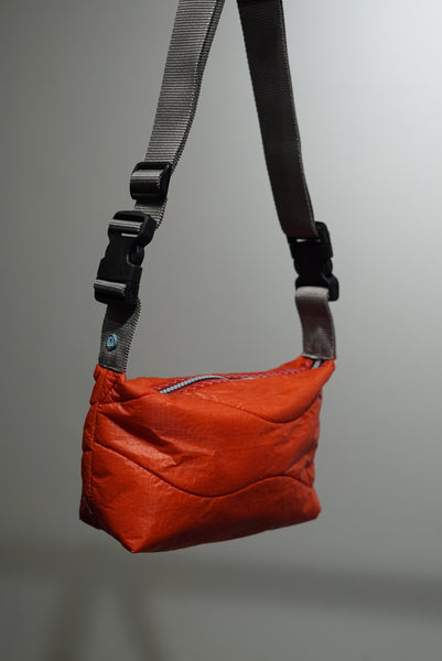 mini crossbody 0058