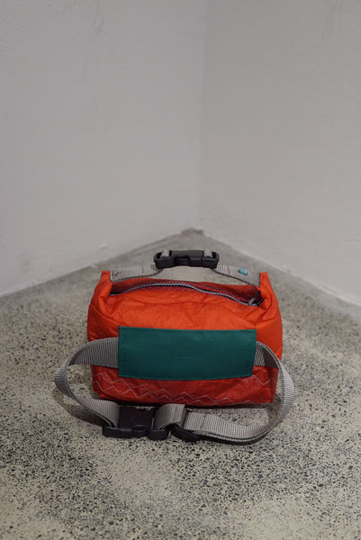 mini crossbody 0058